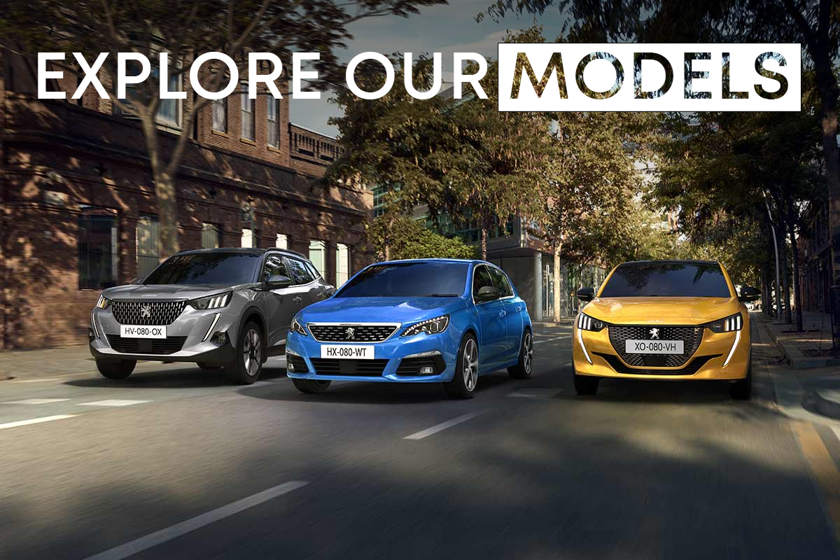 Explore Our Models