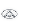 LDV